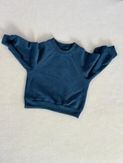 Plain Colour Sweatshirt | Various Colours - Affordable Baby -Trend Nest Store S138bce8cdc36445a8154744583d4b06e0