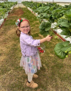 Distressed Denim Jacket | Purple - Affordable Baby -Trend Nest Store Screenshot2022 11 22104743