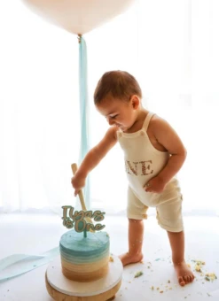 One Birthday Knit Romper | Sand - Affordable Baby -Trend Nest Store Screenshot 2024 11 01 084107
