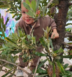 Zip Fluffy Tracksuits | 4 Colours - Affordable Baby -Trend Nest Store Screenshot 2025 05 26 072202